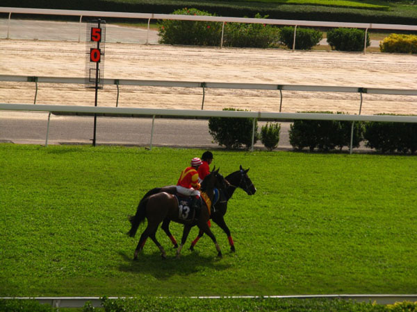 Macau Jockey Club Vision